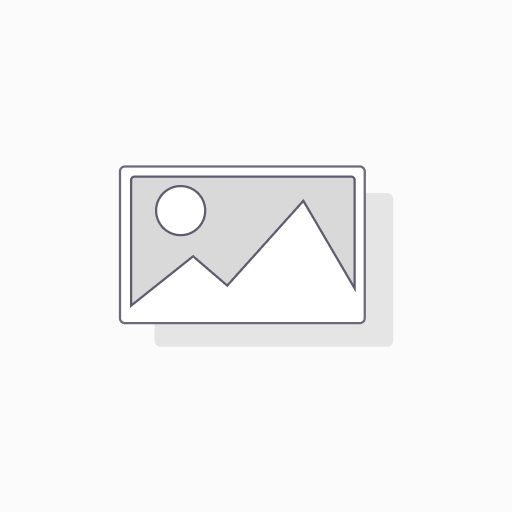Yearly Fee - Model Creator