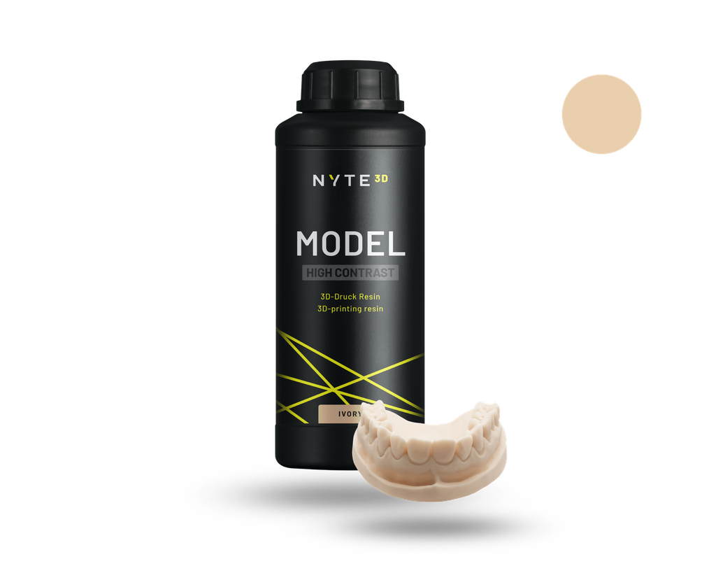 Nyte 3D Model