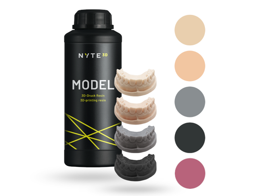 Nyte 3D Model